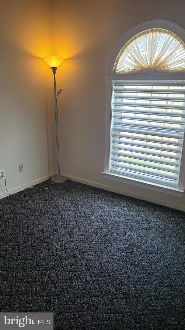 249-d Fountain St #249-d Property Photo 16