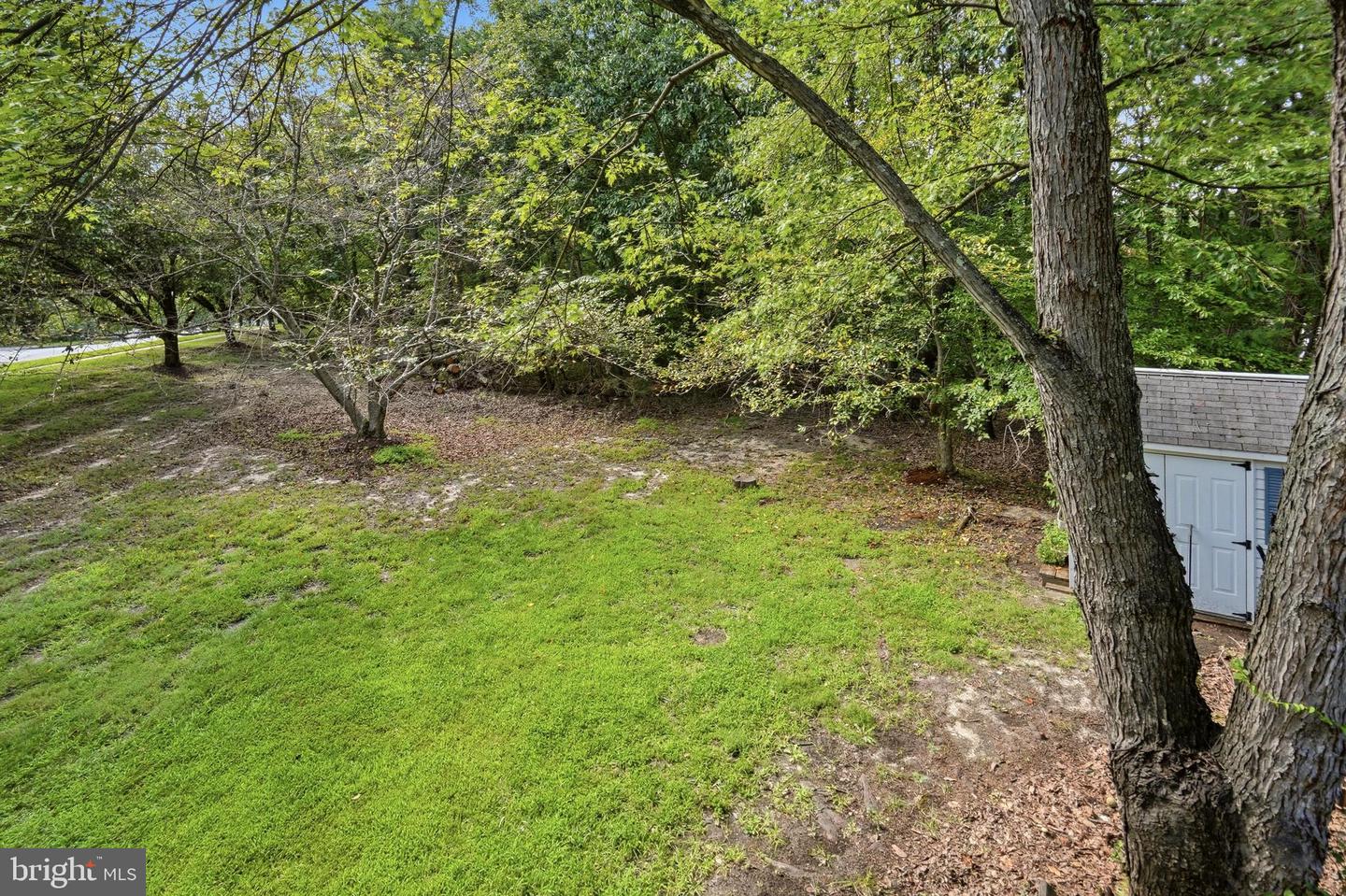 3201 Arbor Hill Ct Property Photo 35