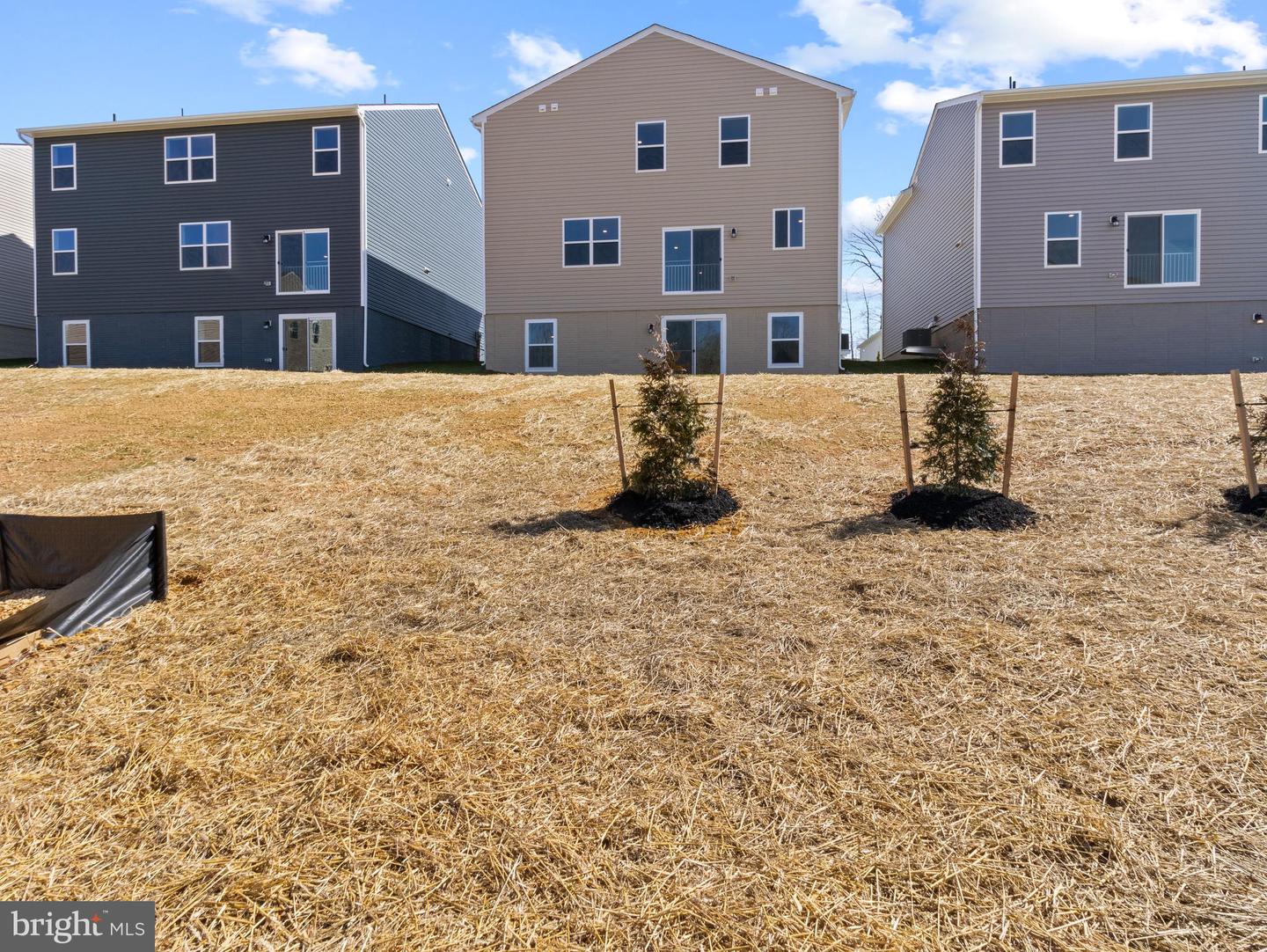 812 Spikeresh Way Property Photo 34
