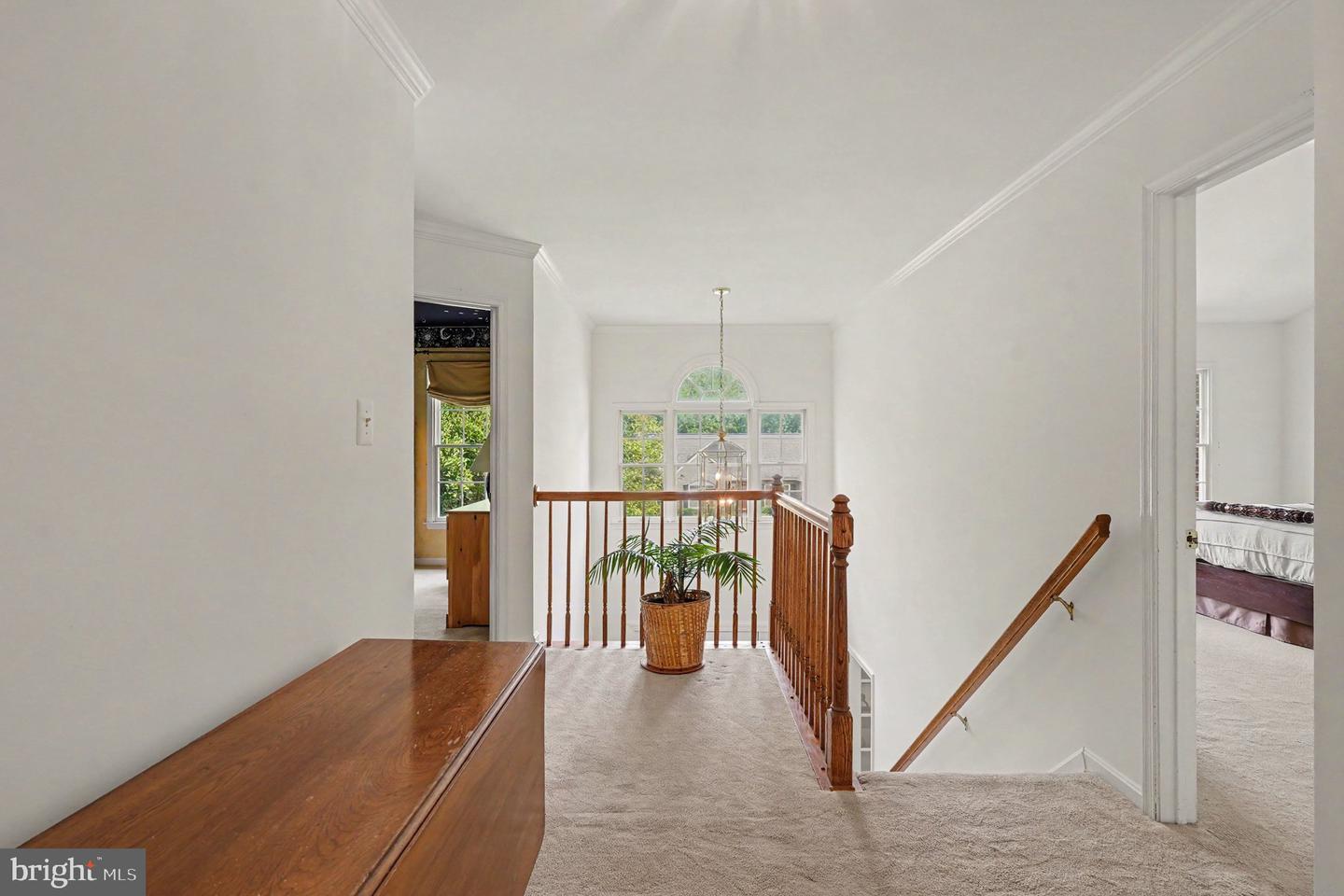 2014 Royal Fern Ct Property Photo 24