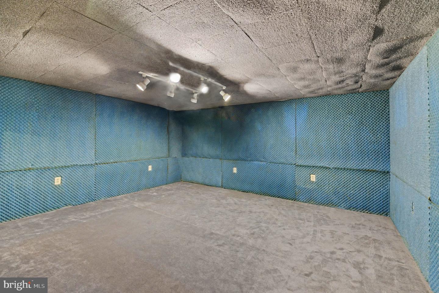 2014 Royal Fern Ct Property Photo 41