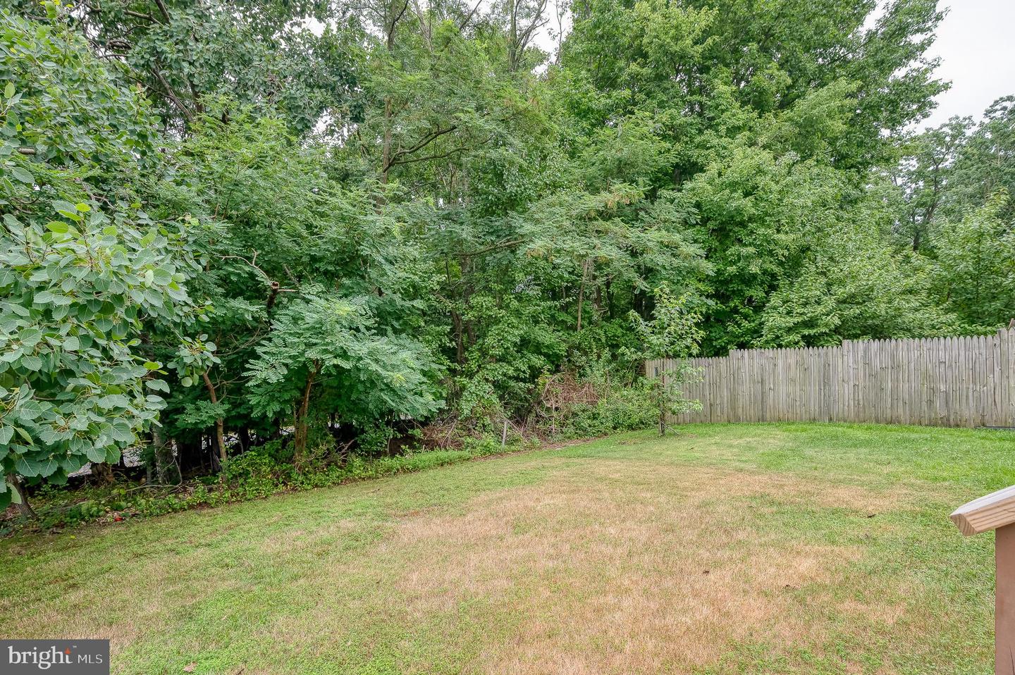 3221 Arbor Hill Ct Property Photo 40