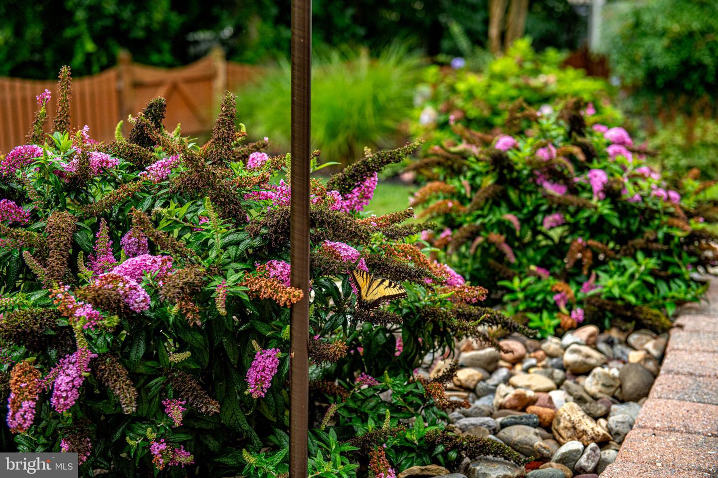 3409 Shrewsbury Rd Property Photo 53