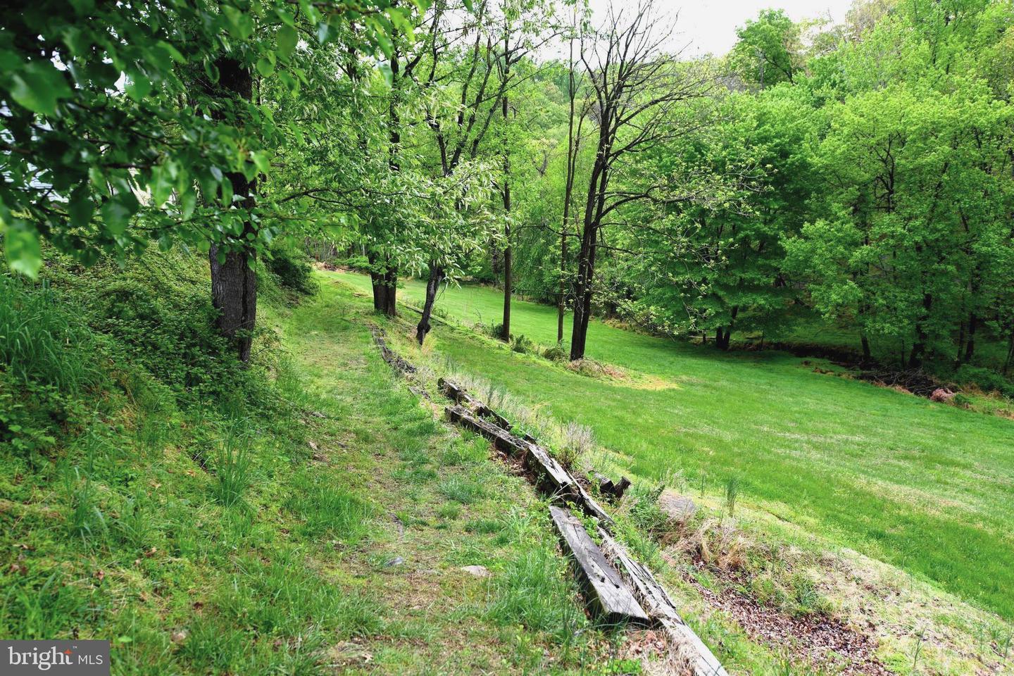 305 Rolling Knoll Dr Property Photo 36