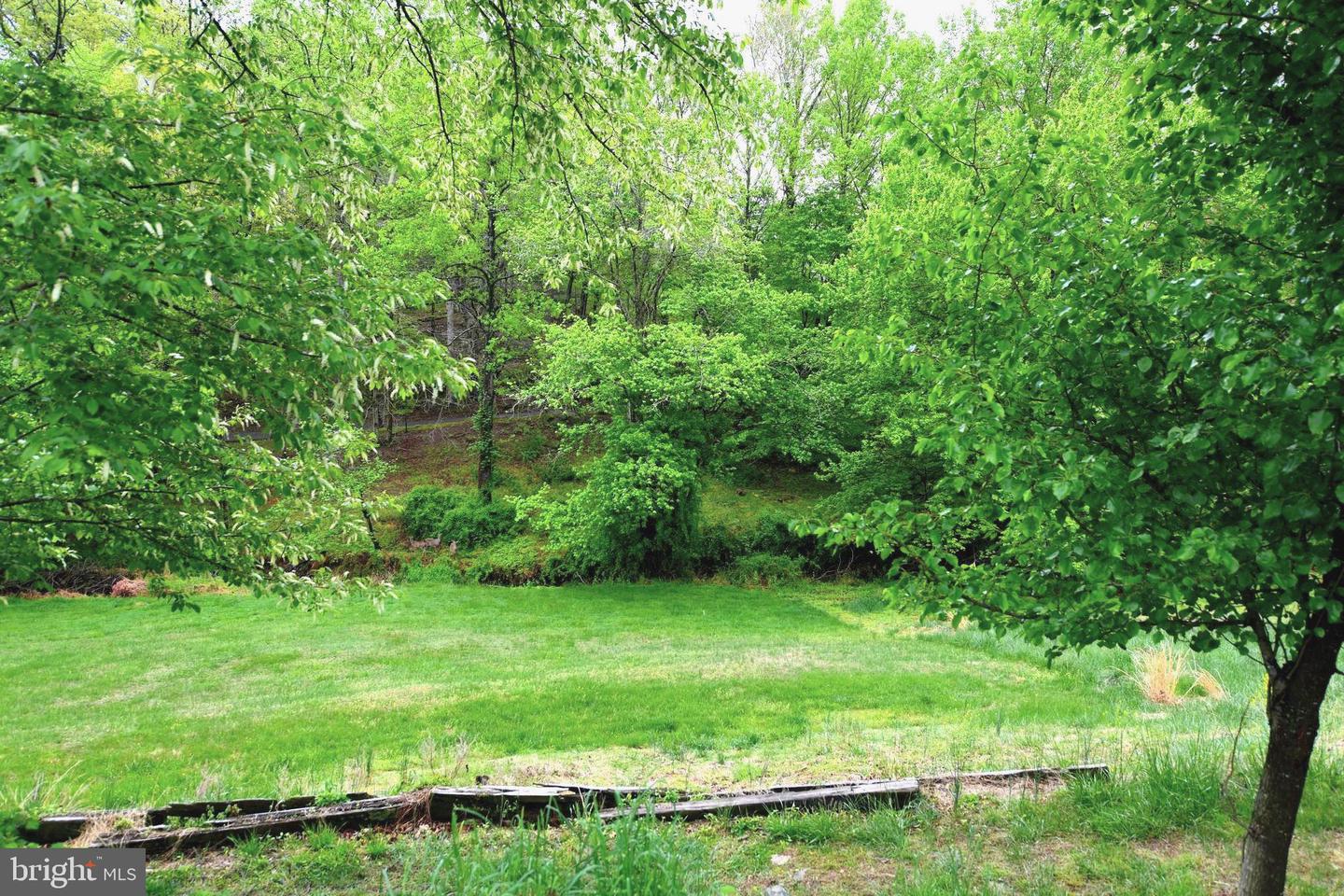 305 Rolling Knoll Dr Property Photo 39