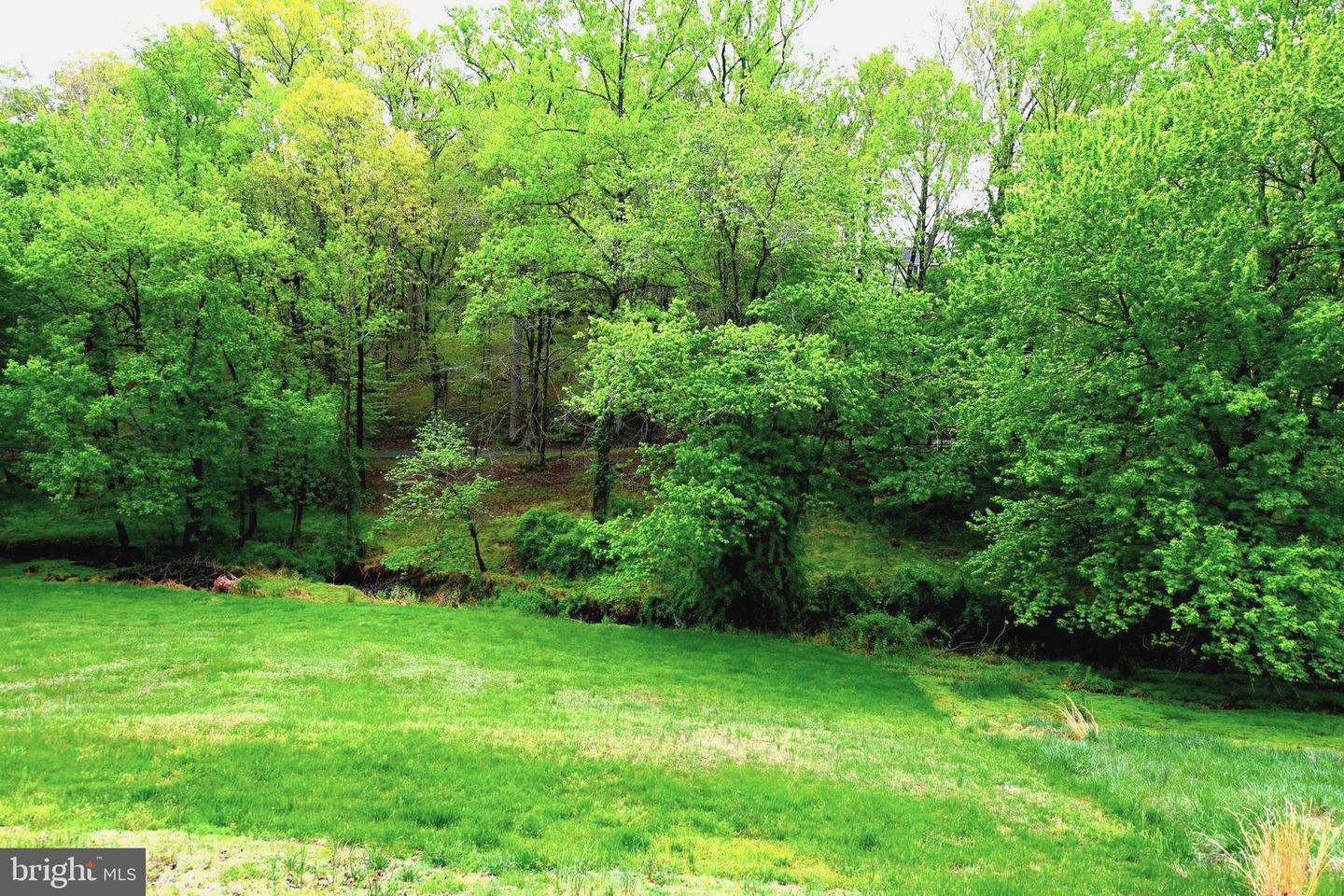 305 Rolling Knoll Dr Property Photo 40