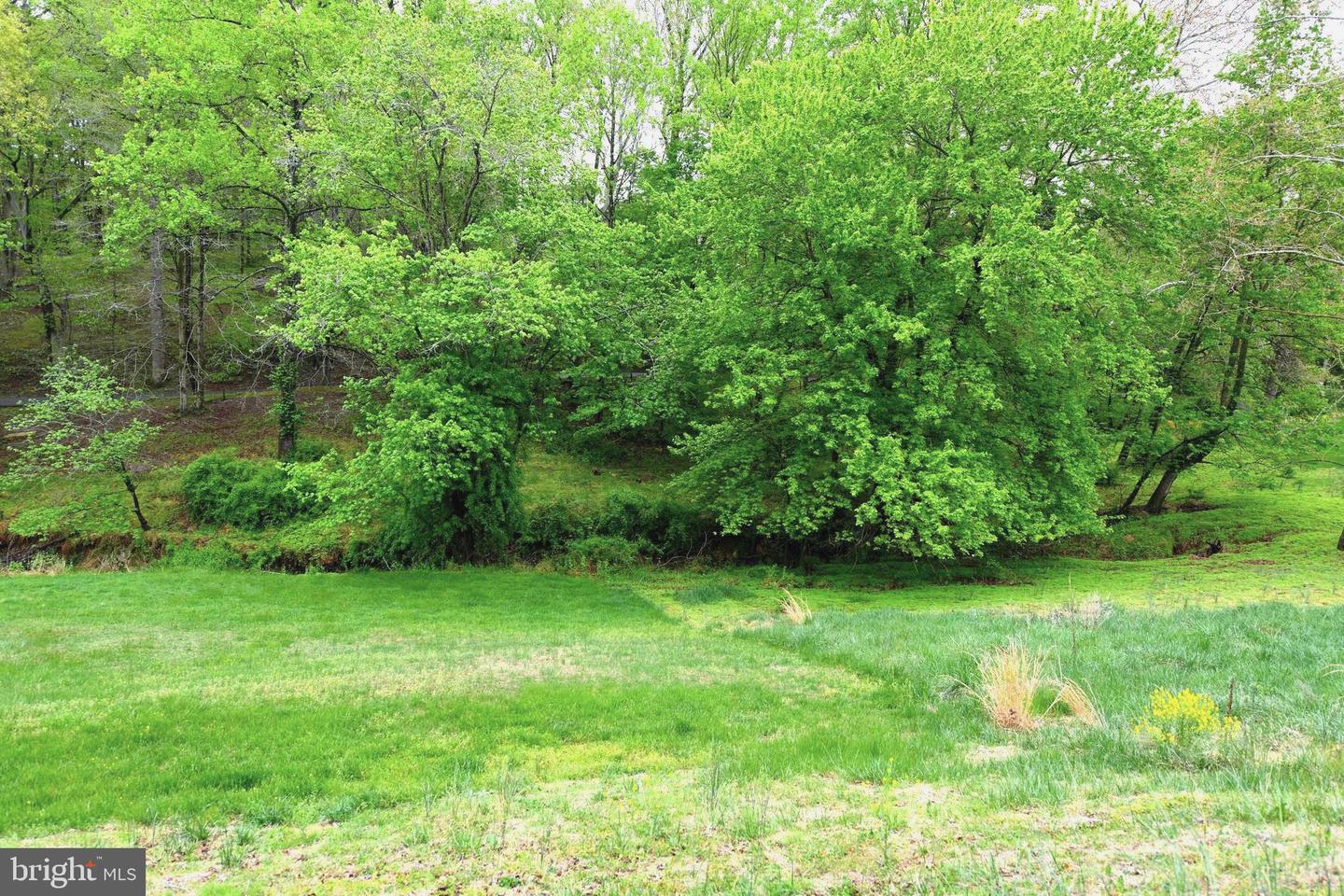 305 Rolling Knoll Dr Property Photo 41
