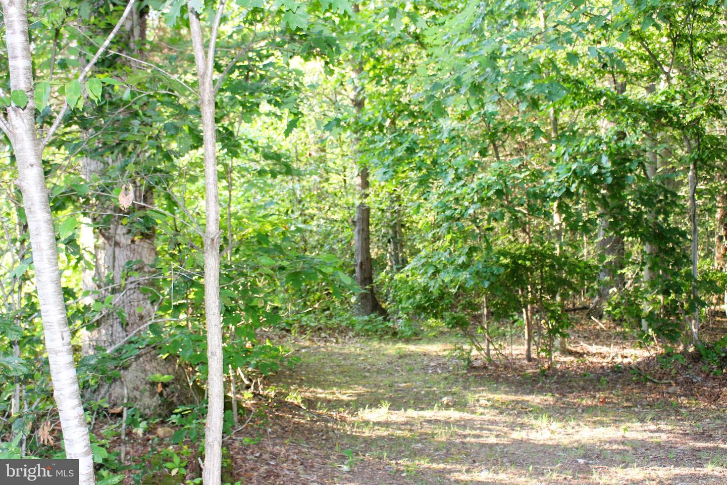 Mandeville Rd Property Photo 1