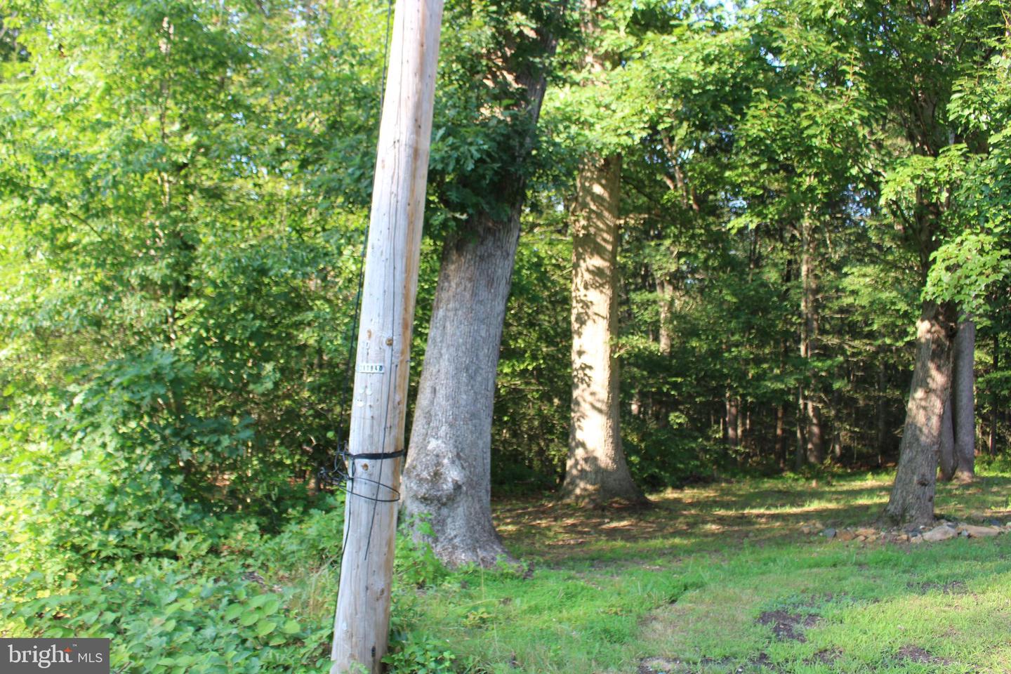Mandeville Rd Property Photo 4