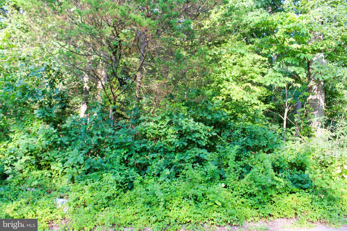 Mandeville Rd Property Photo 7