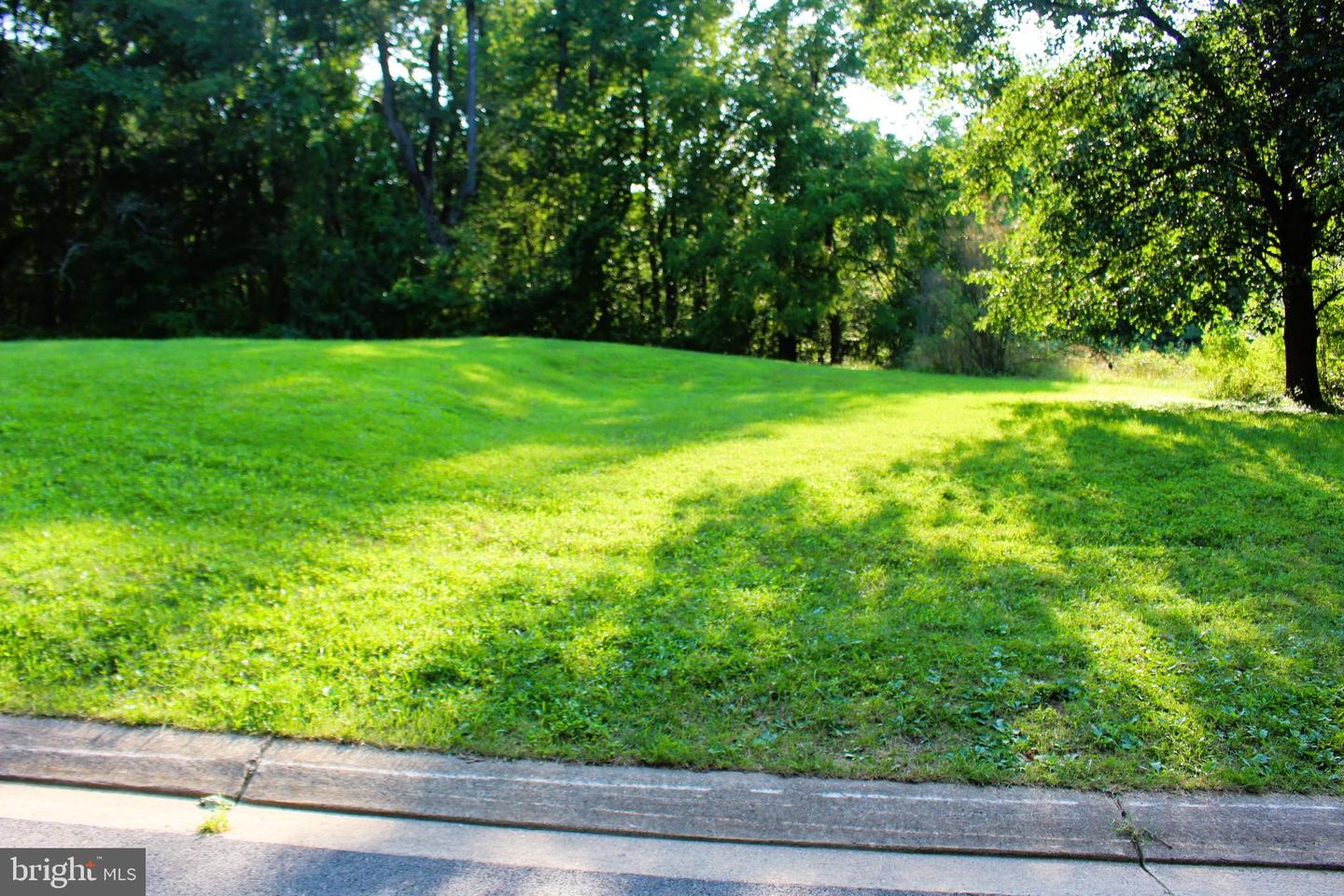 Mandeville Rd Property Photo 8