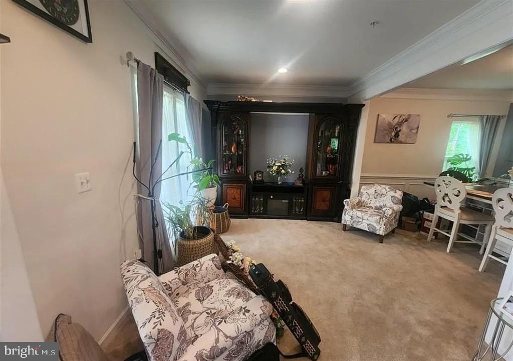 528 Potomac Rd Property Photo 4