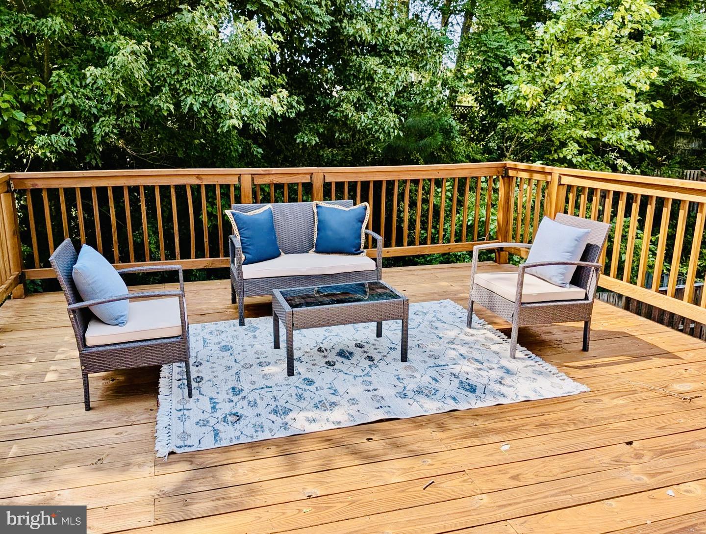 1150 Splashing Brook Dr Property Photo 39