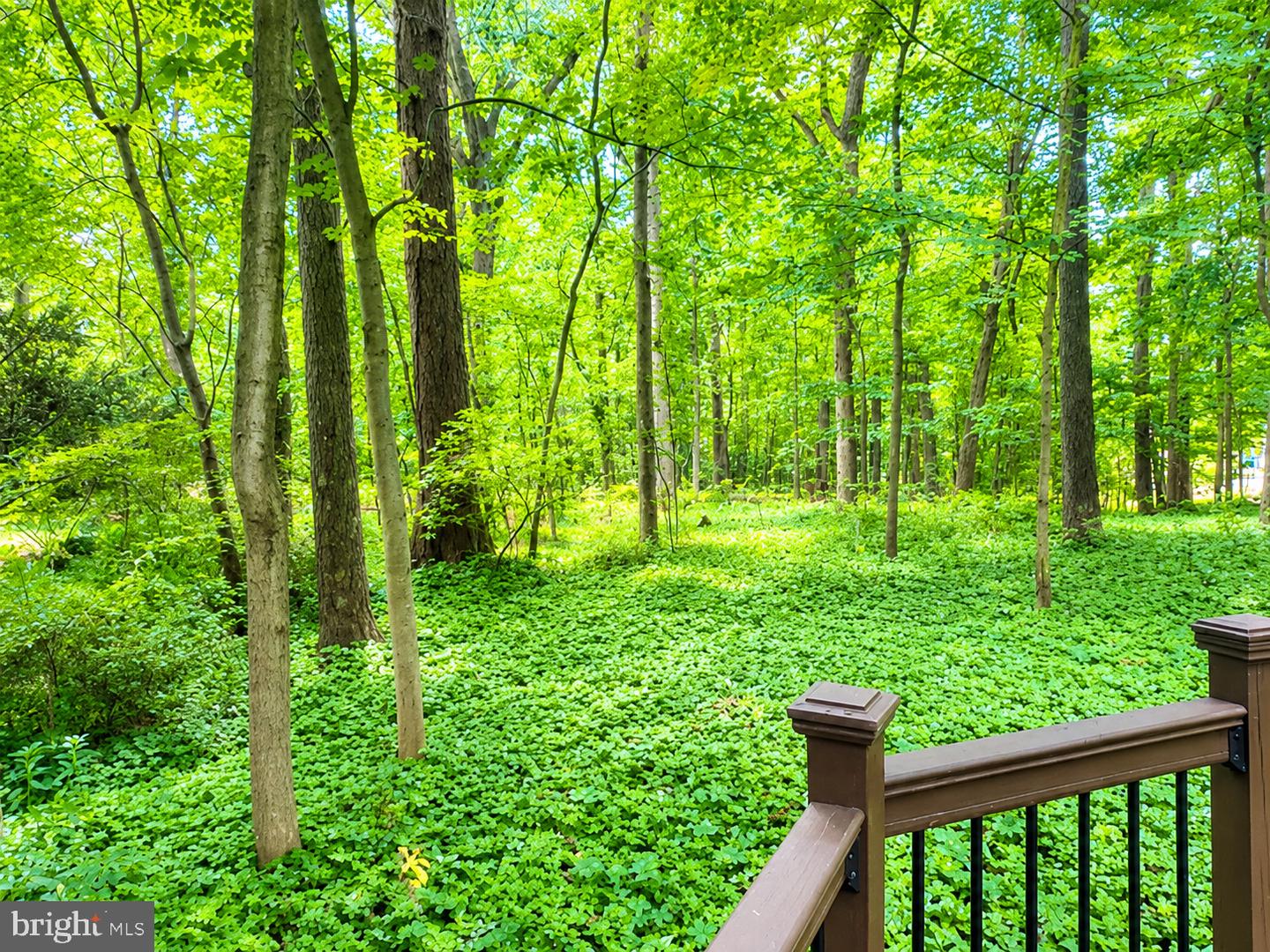 MDHR2058112 Property Photo 18
