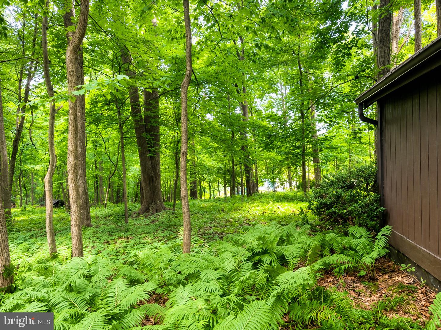 MDHR2058112 Property Photo 22