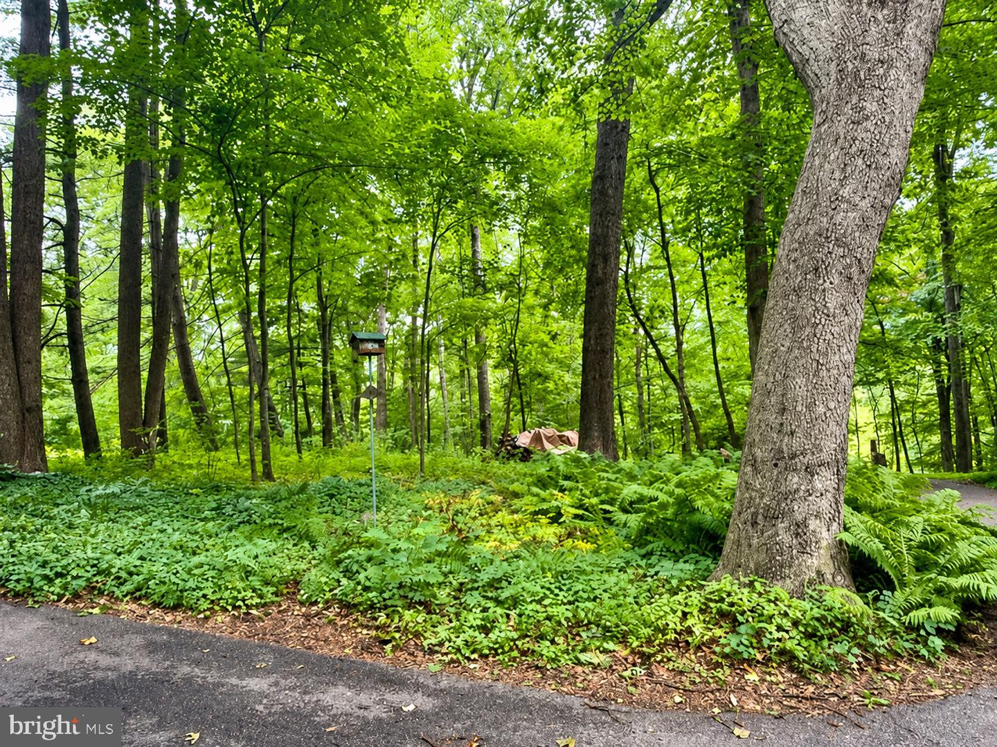 MDHR2058112 Property Photo 23