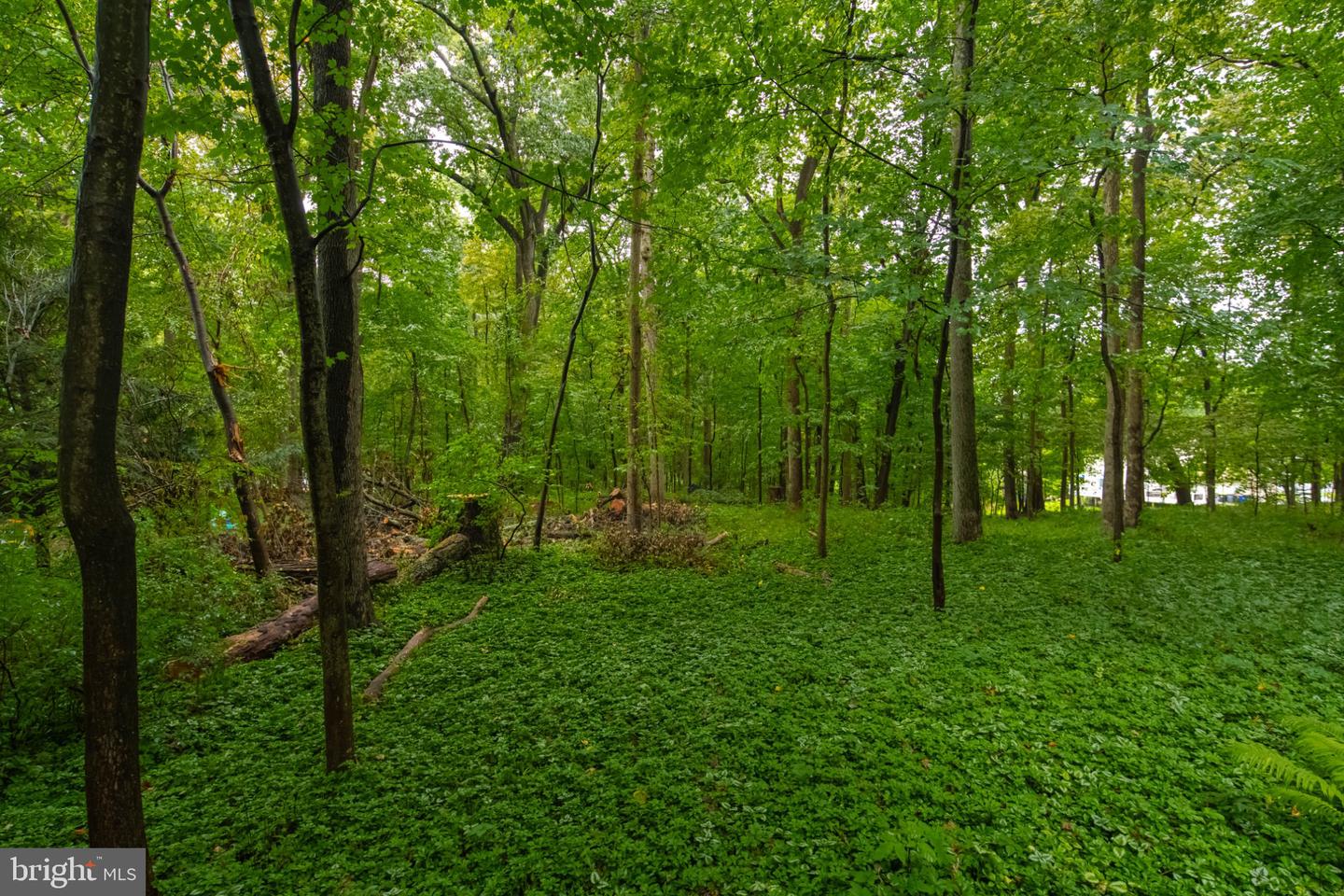 MDHR2058112 Property Photo 39