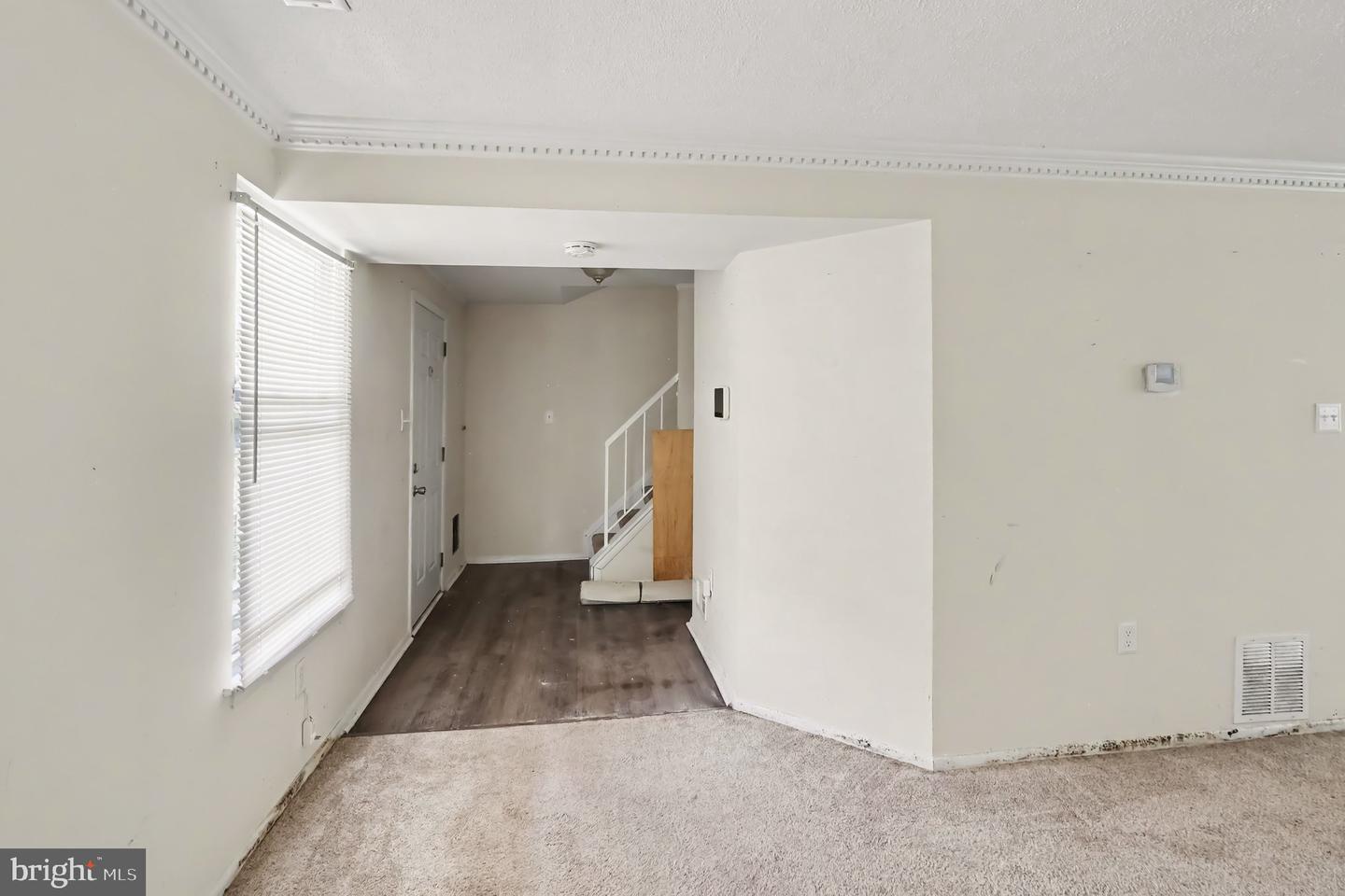 127 Laburnum Rd Property Photo 6