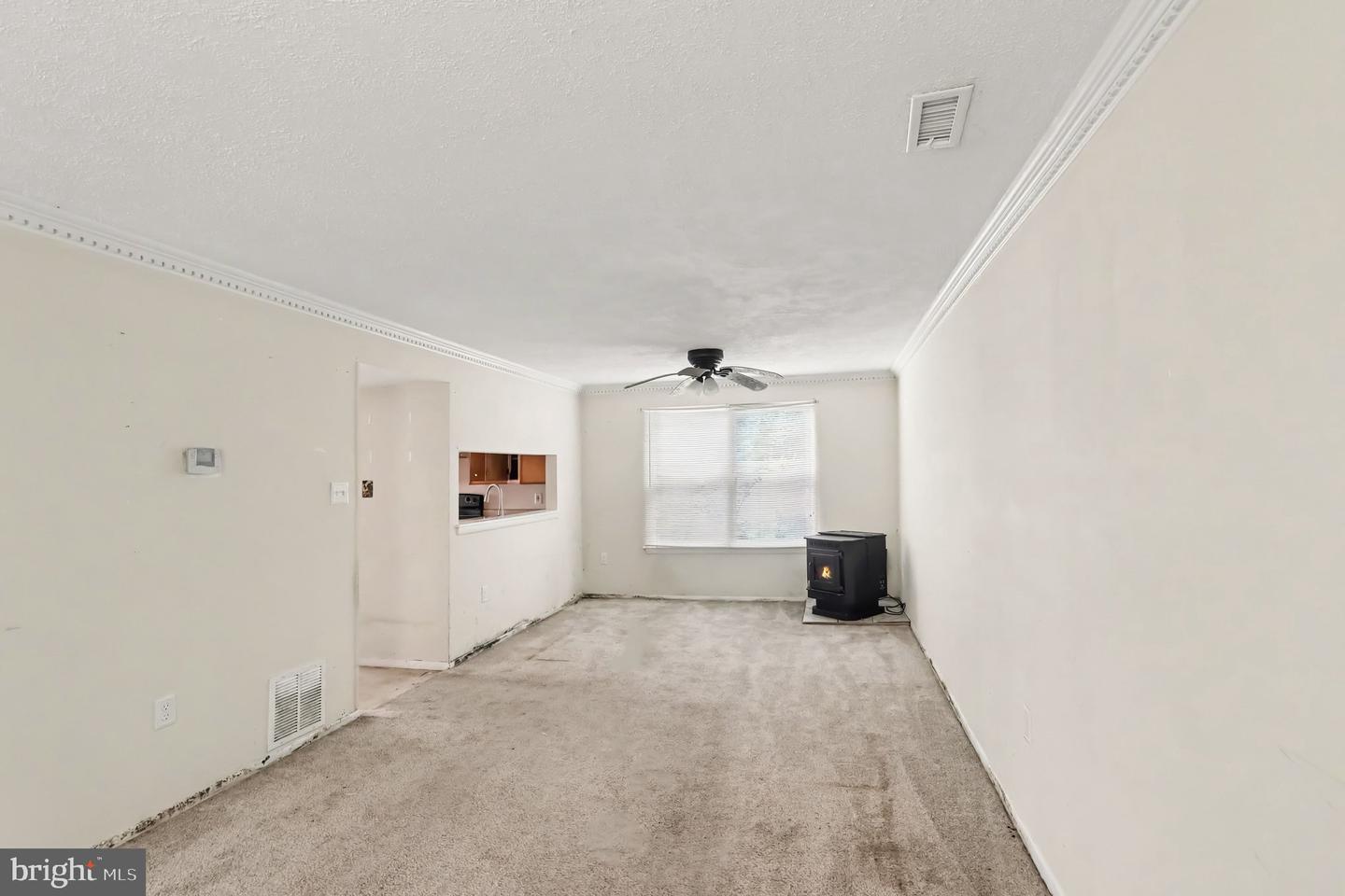 127 Laburnum Rd Property Photo 8