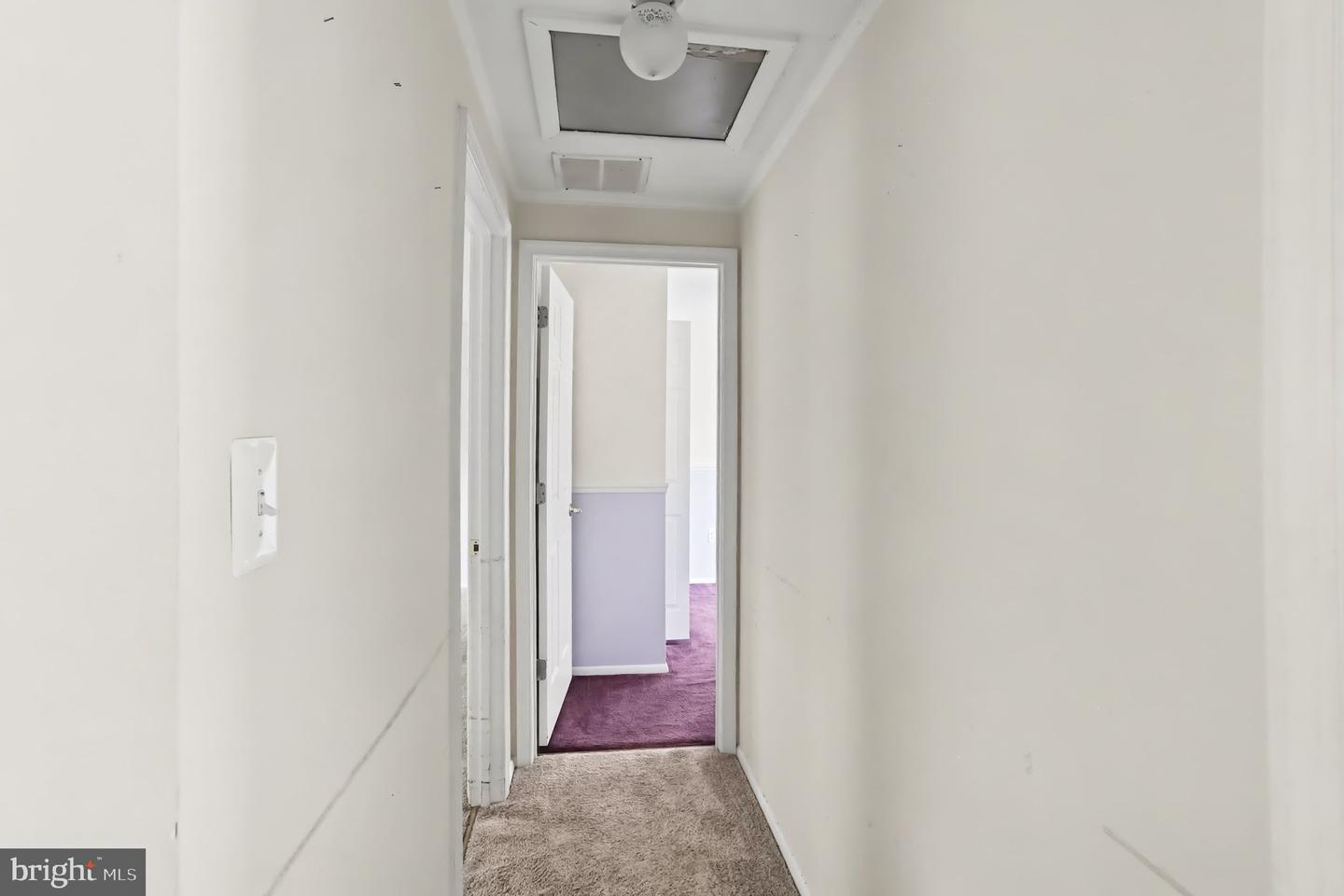 127 Laburnum Rd Property Photo 14