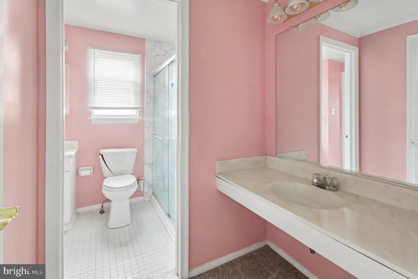127 Laburnum Rd Property Photo 19