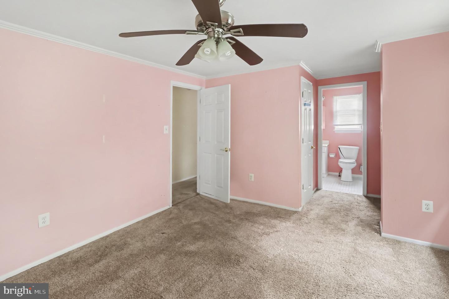 127 Laburnum Rd Property Photo 22