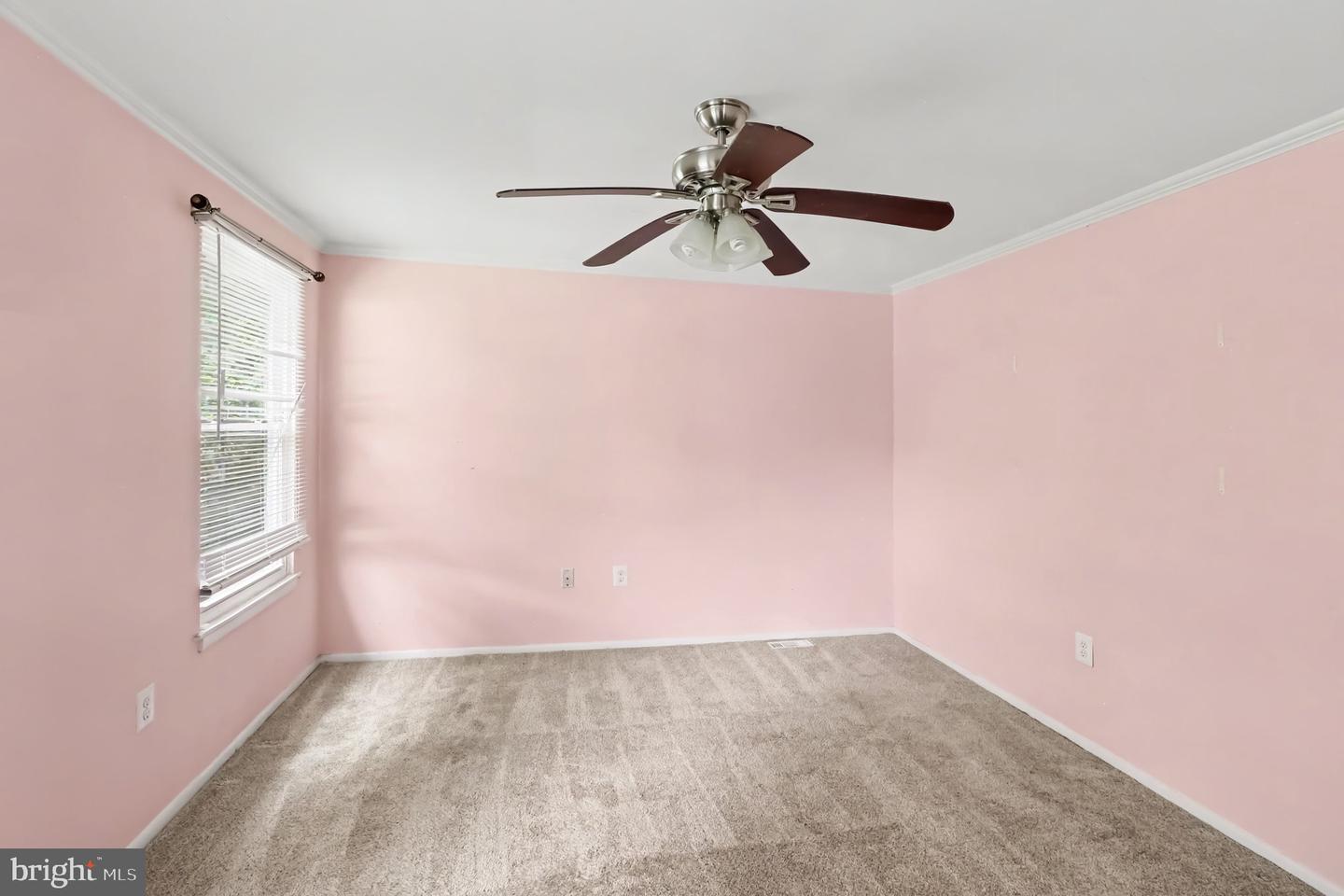 127 Laburnum Rd Property Photo 23