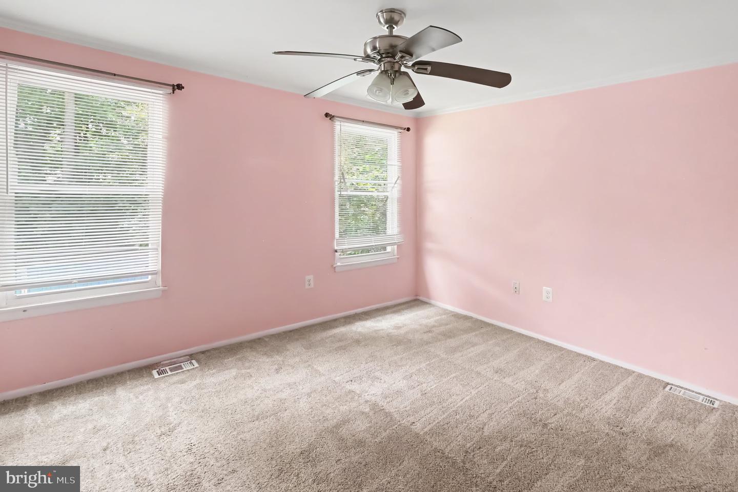 127 Laburnum Rd Property Photo 24