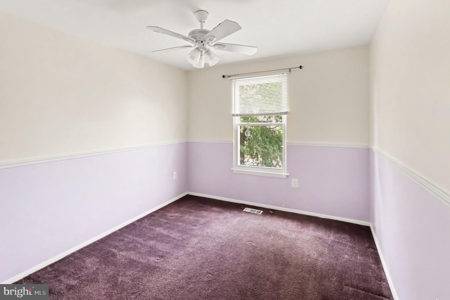 127 Laburnum Rd Property Photo 29