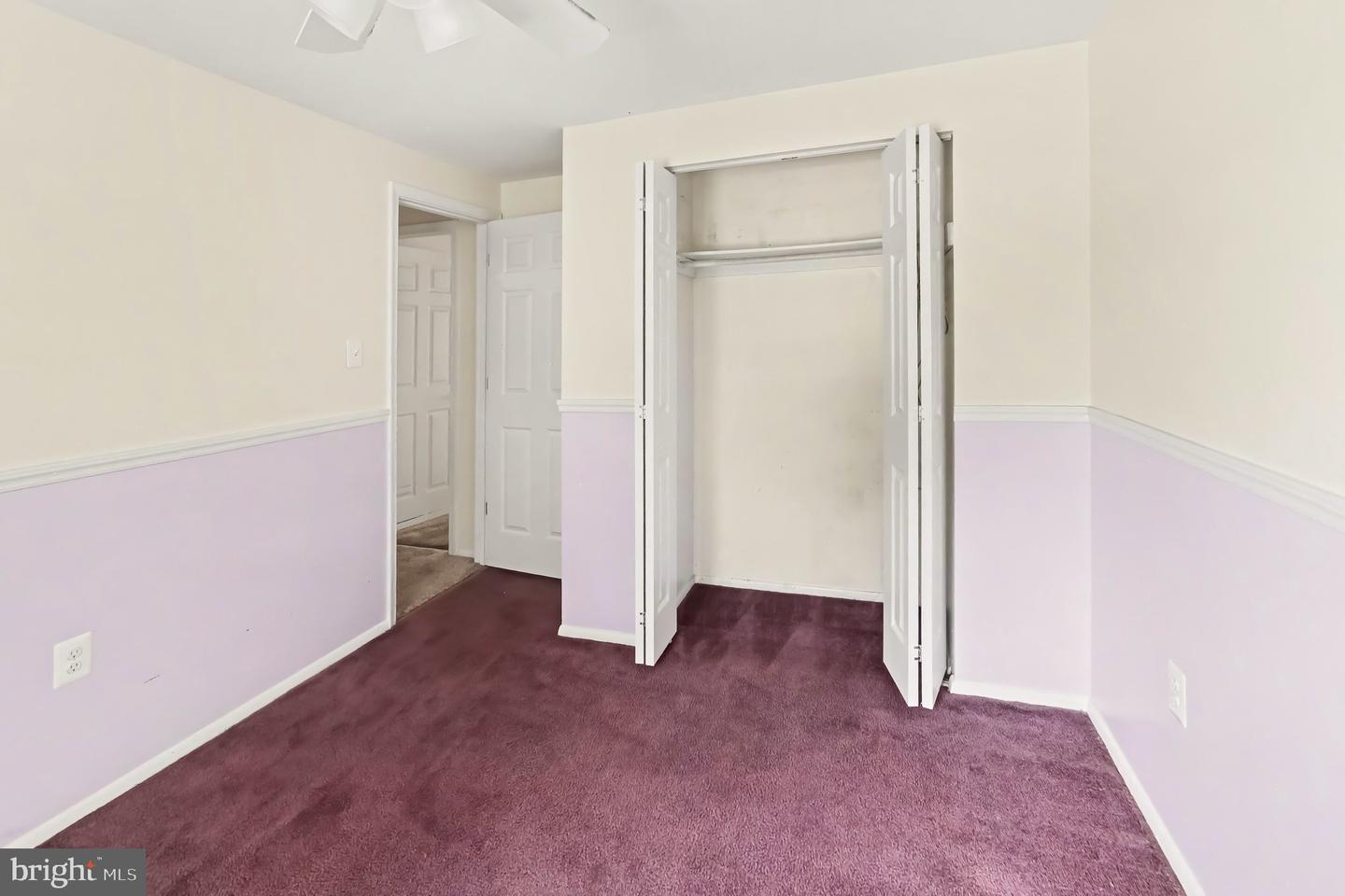 127 Laburnum Rd Property Photo 30