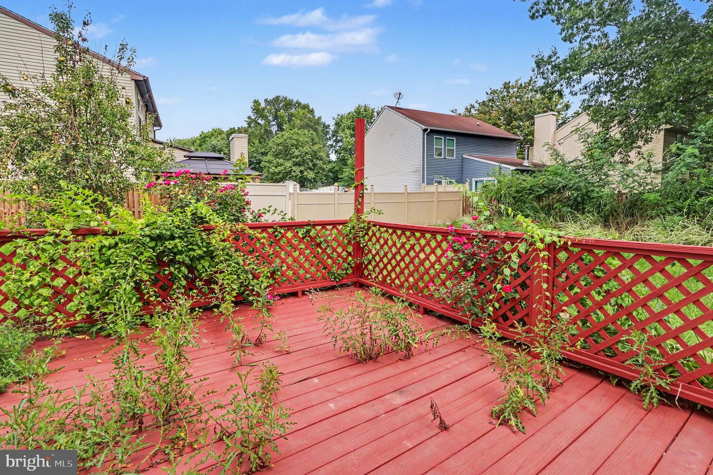 127 Laburnum Rd Property Photo 31