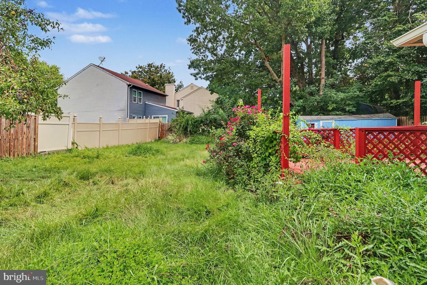 127 Laburnum Rd Property Photo 32