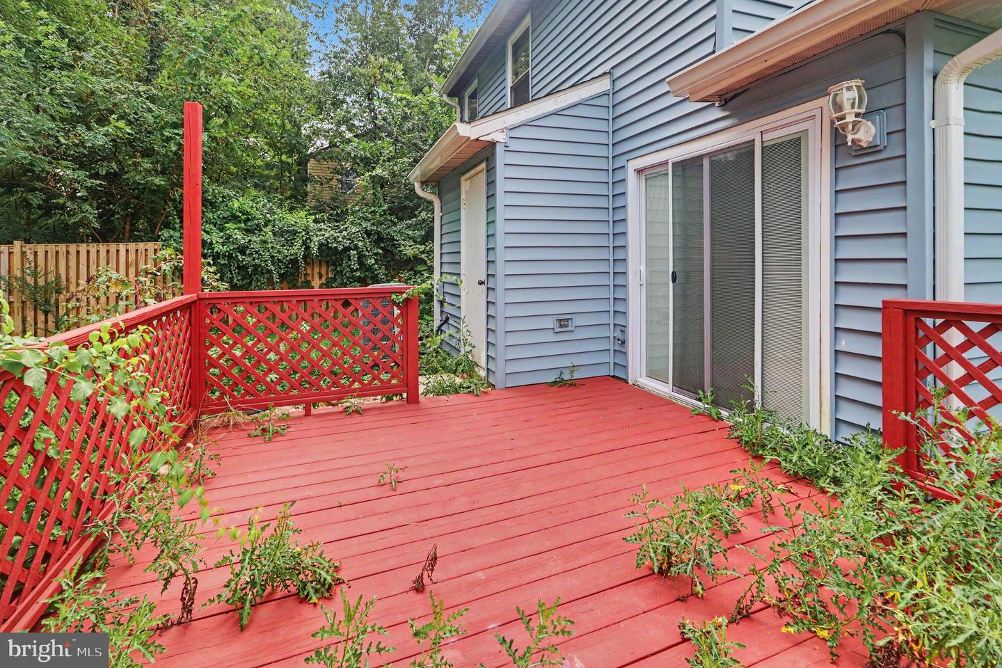127 Laburnum Rd Property Photo 35