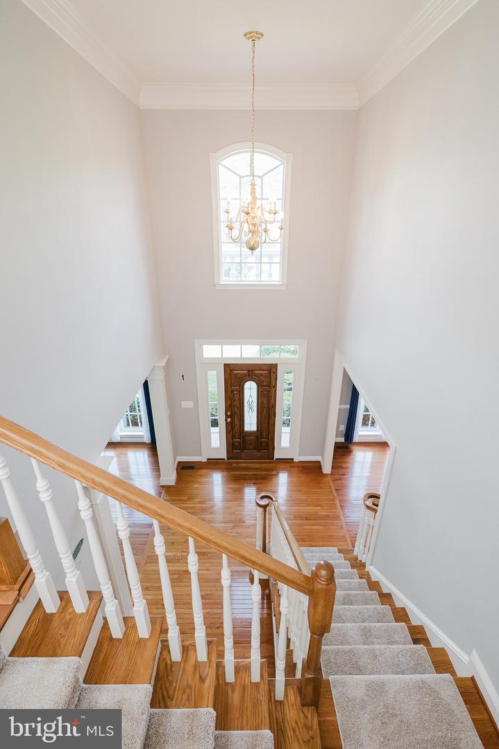 105 Bower Ln Property Photo 35
