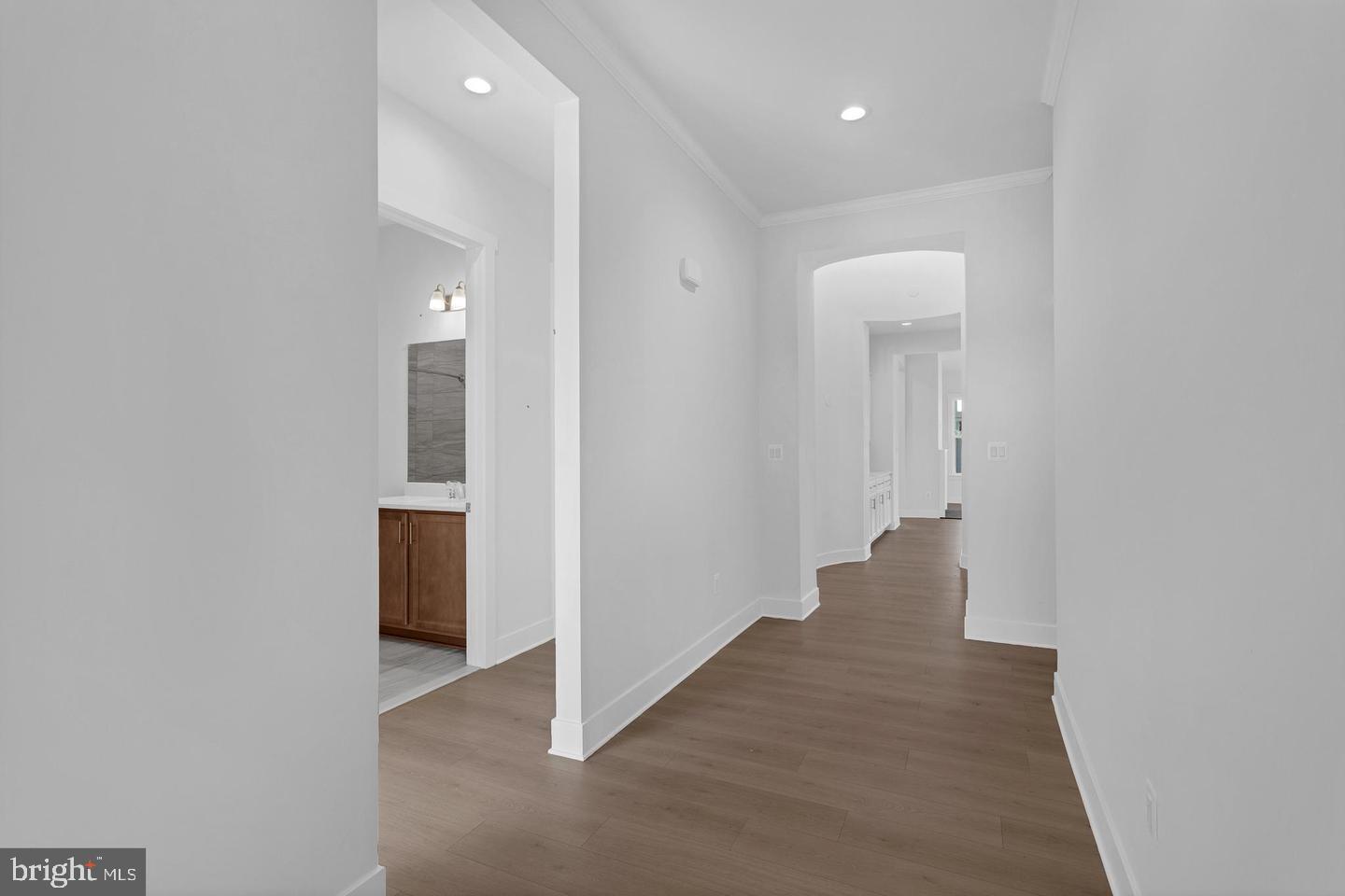 517 Whimsical Dr Property Photo 3