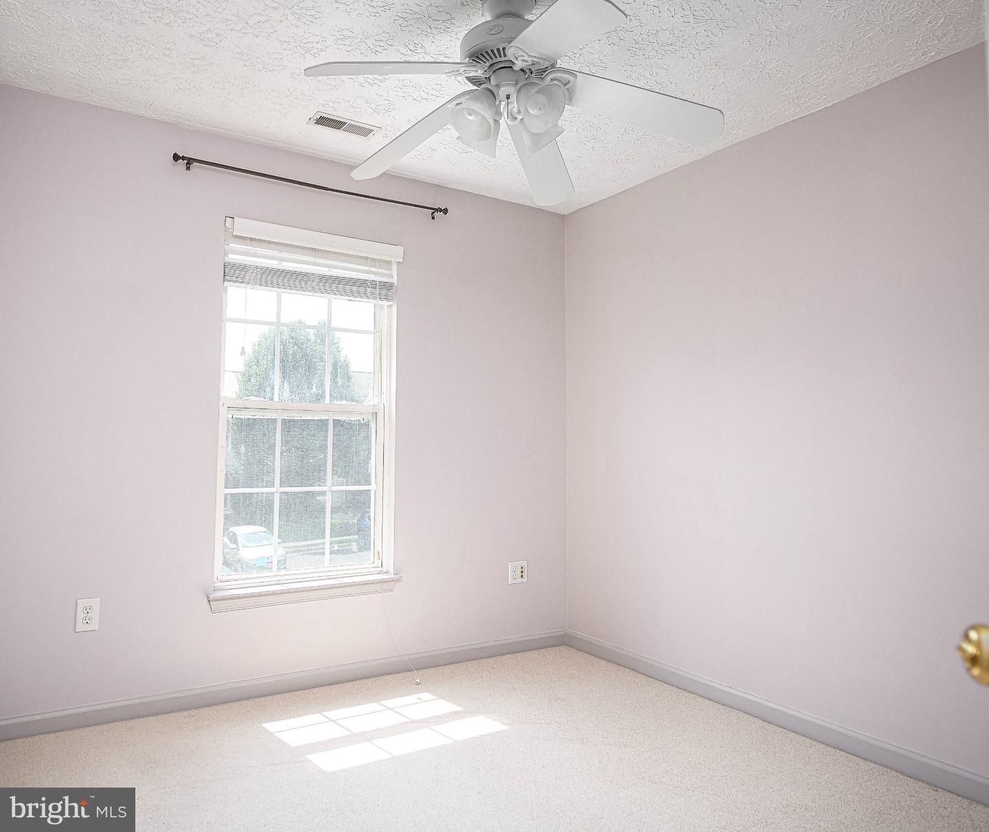 416 Mayapple Ct Property Photo 23