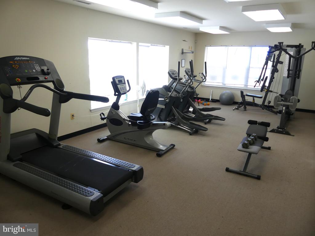 1817 Selvin Dr #401 & #7 Garage Property Photo 33