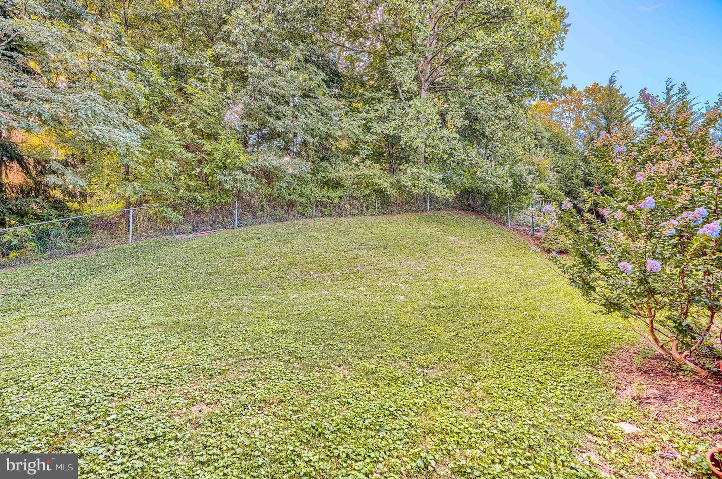1802 Bear Creek Dr Property Photo 40