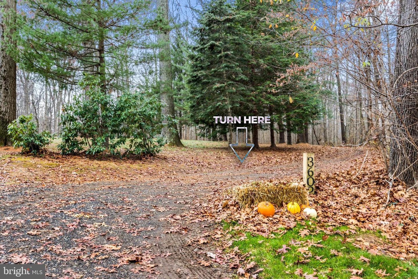 2052 Nelson Mill Rd Property Photo 9