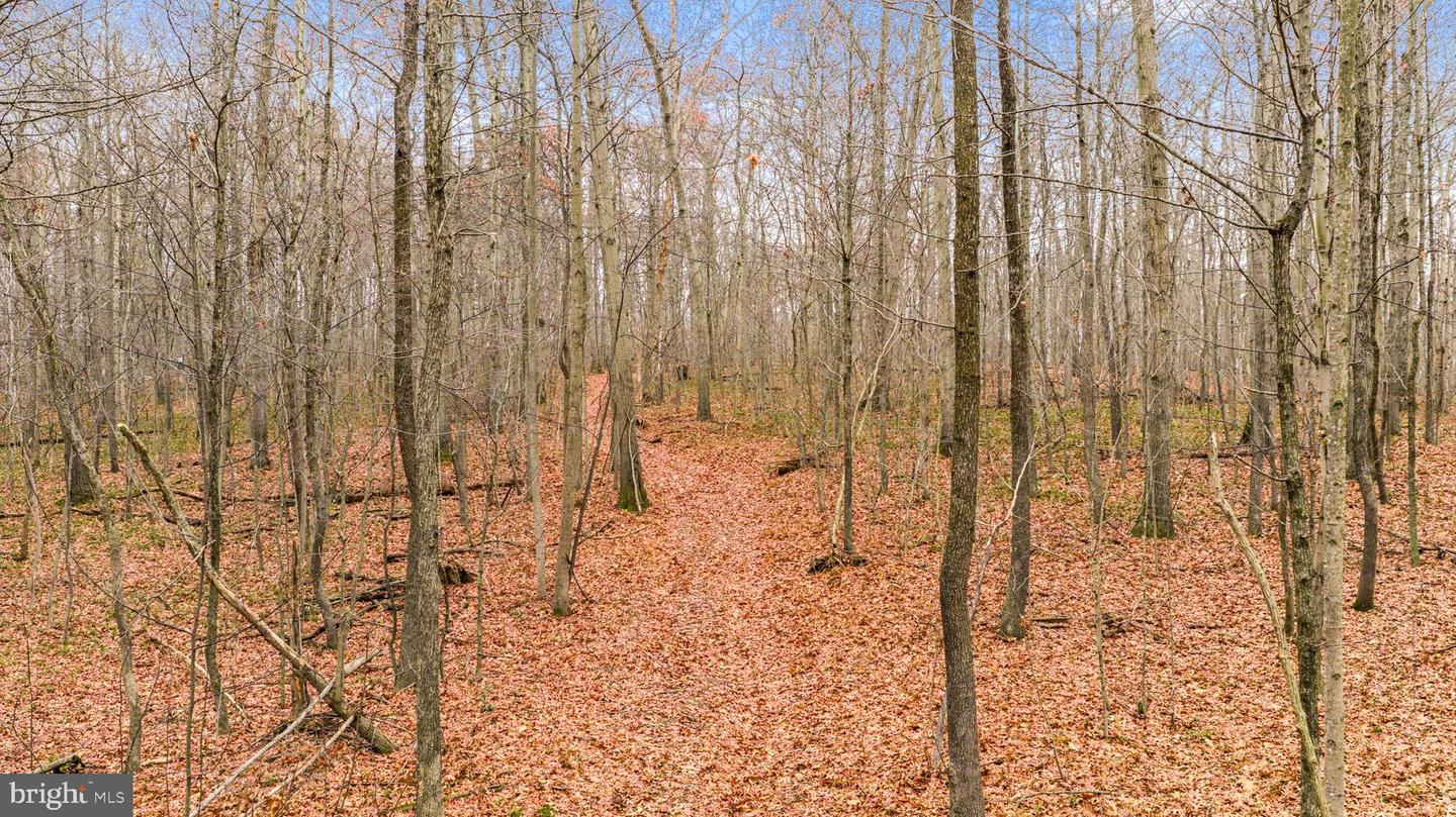 2052 Nelson Mill Rd Property Photo 15