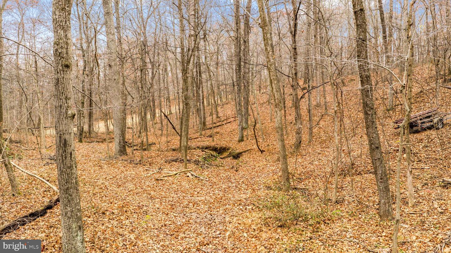 2052 Nelson Mill Rd Property Photo 16