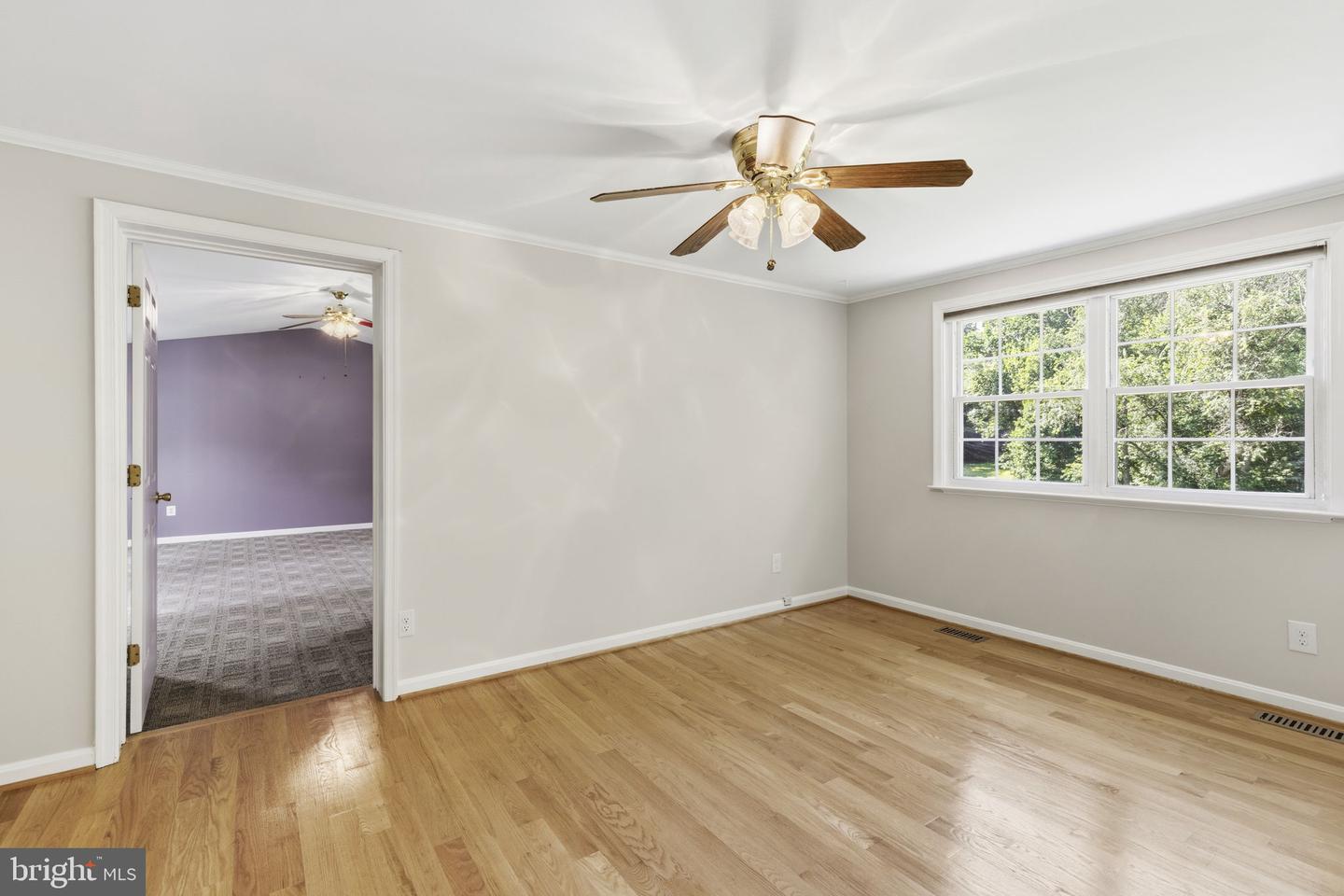 3906 Boxwood Rd Property Photo 16