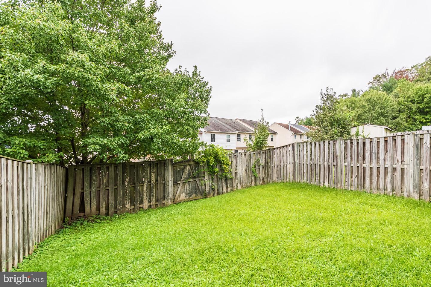 3348 Raccoon Ct Property Photo 47