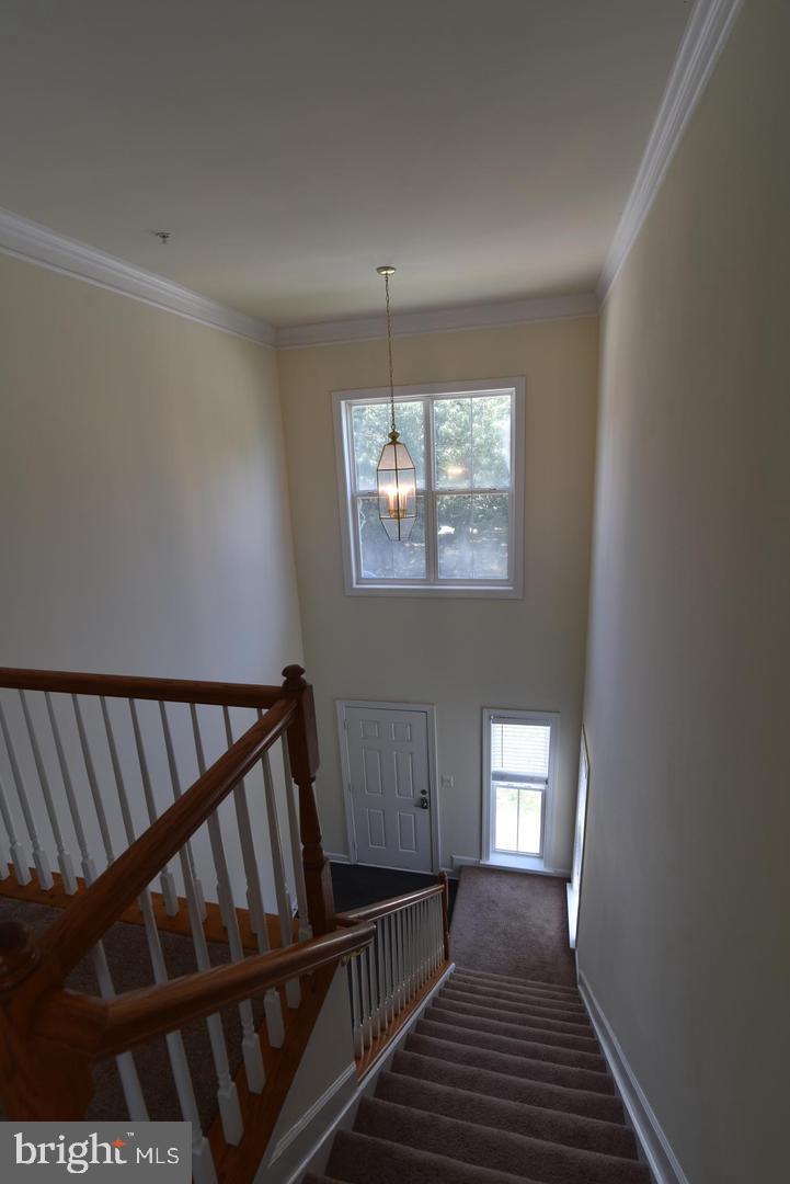 139 Hokeland Dr Property Photo 25