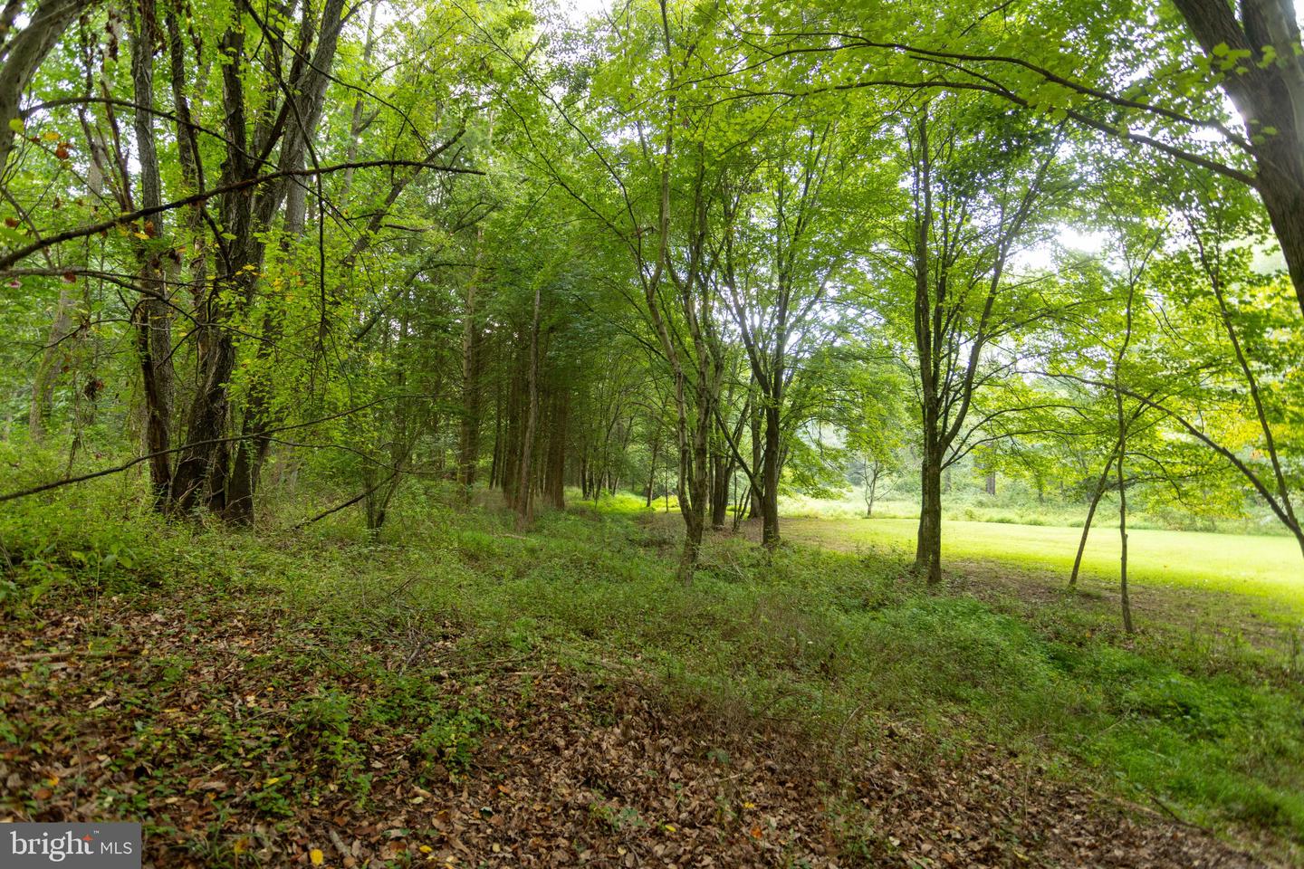 1020 Ridge Property Photo 45