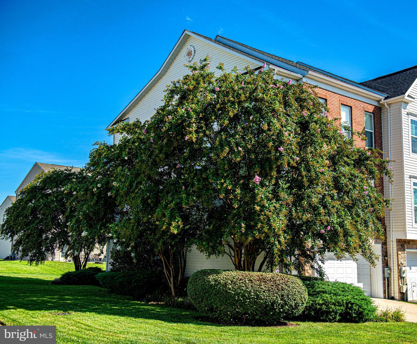 1709 Mohegan Dr #1043 Property Photo 41