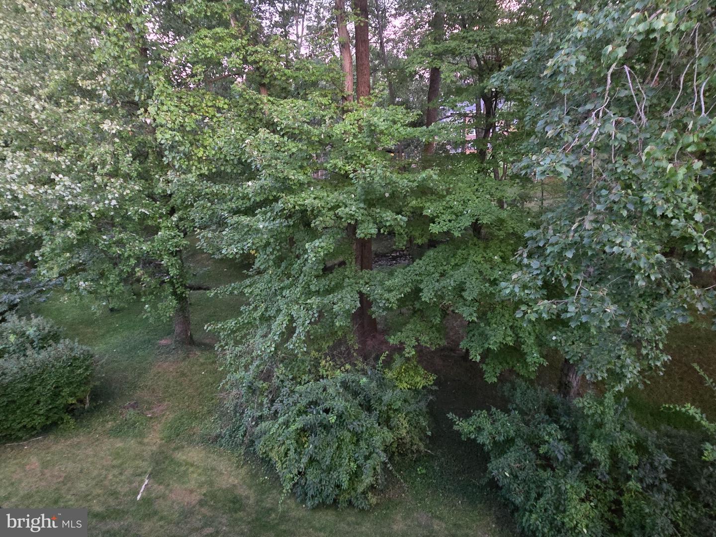 111 Donzen Dr #e Property Photo 17