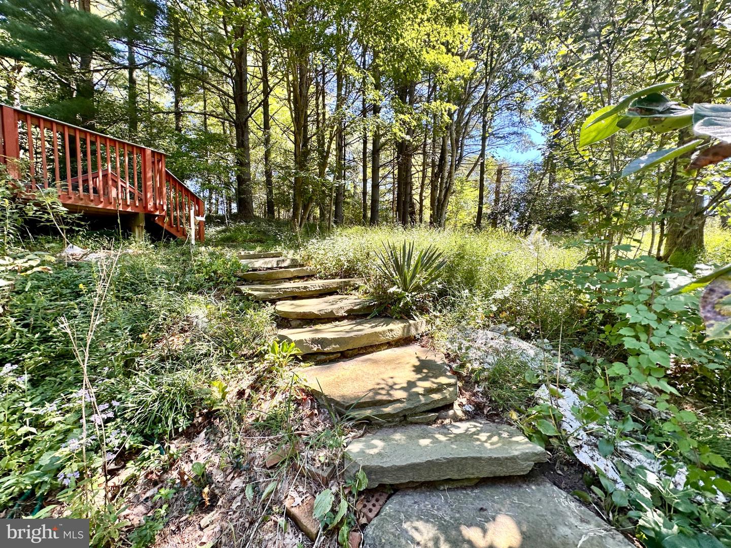 3537 Mill Green Rd Property Photo 10