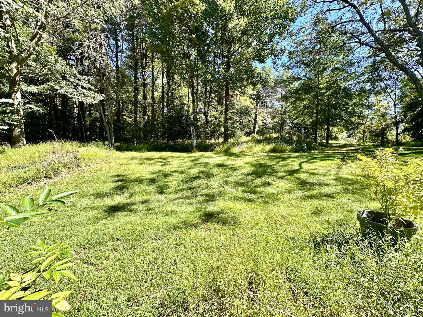 3537 Mill Green Rd Property Photo 32