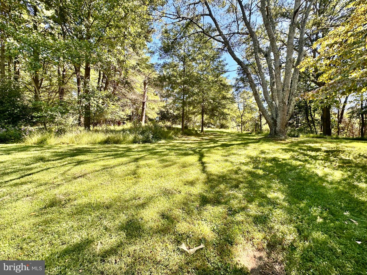 3537 Mill Green Rd Property Photo 33